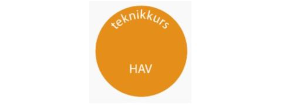 Teknikkkurs havpadling 31-01/07 2021